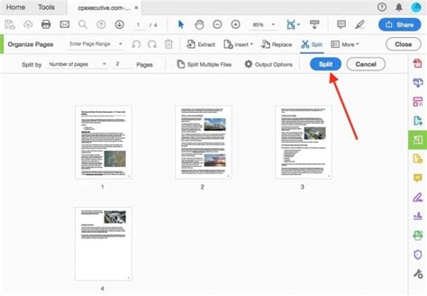 how to separate pages in adobe acrobat reader|Combine or split existing PDF documents .